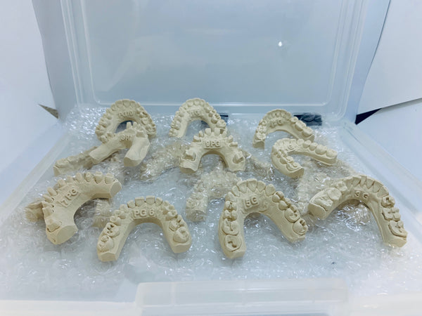 Combination set of die models — porcelain and gold preps