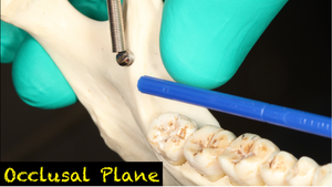Painless Injection Technique, Manual & Video on Flash Drive
