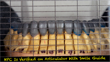 Load image into Gallery viewer, Straight Smile Guide (2 Included for dentist and laboratory)